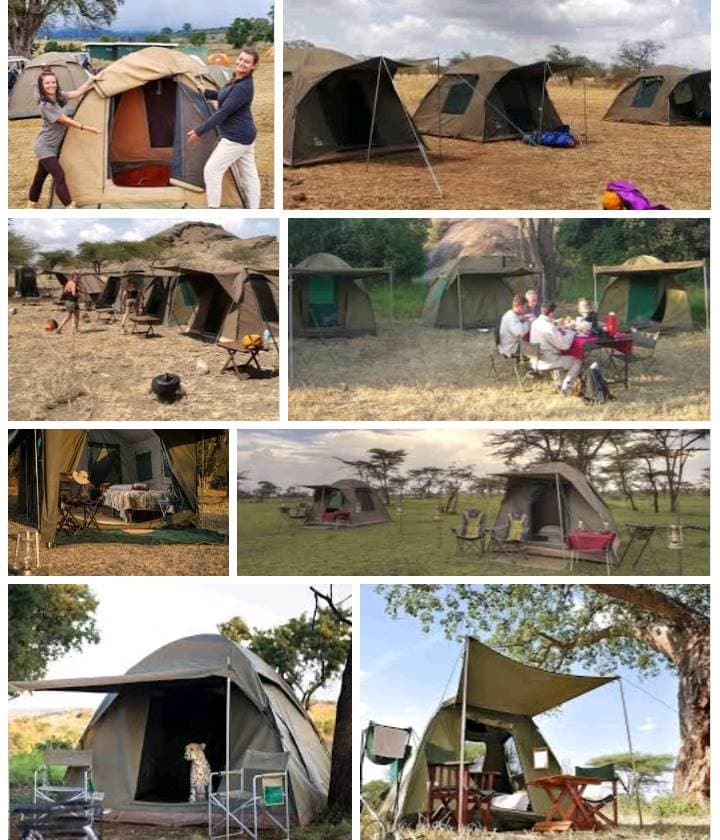 Tanzania camping safari experience