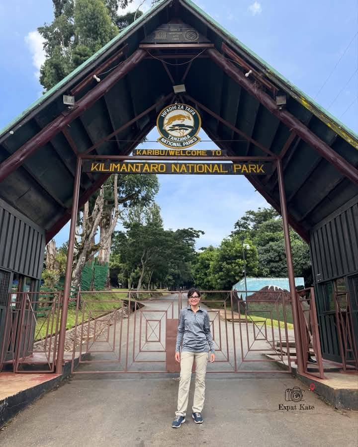 Cultural city tour